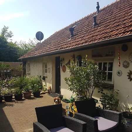 De Boerebeemd Bed and Breakfast Lieshout Buitenkant foto