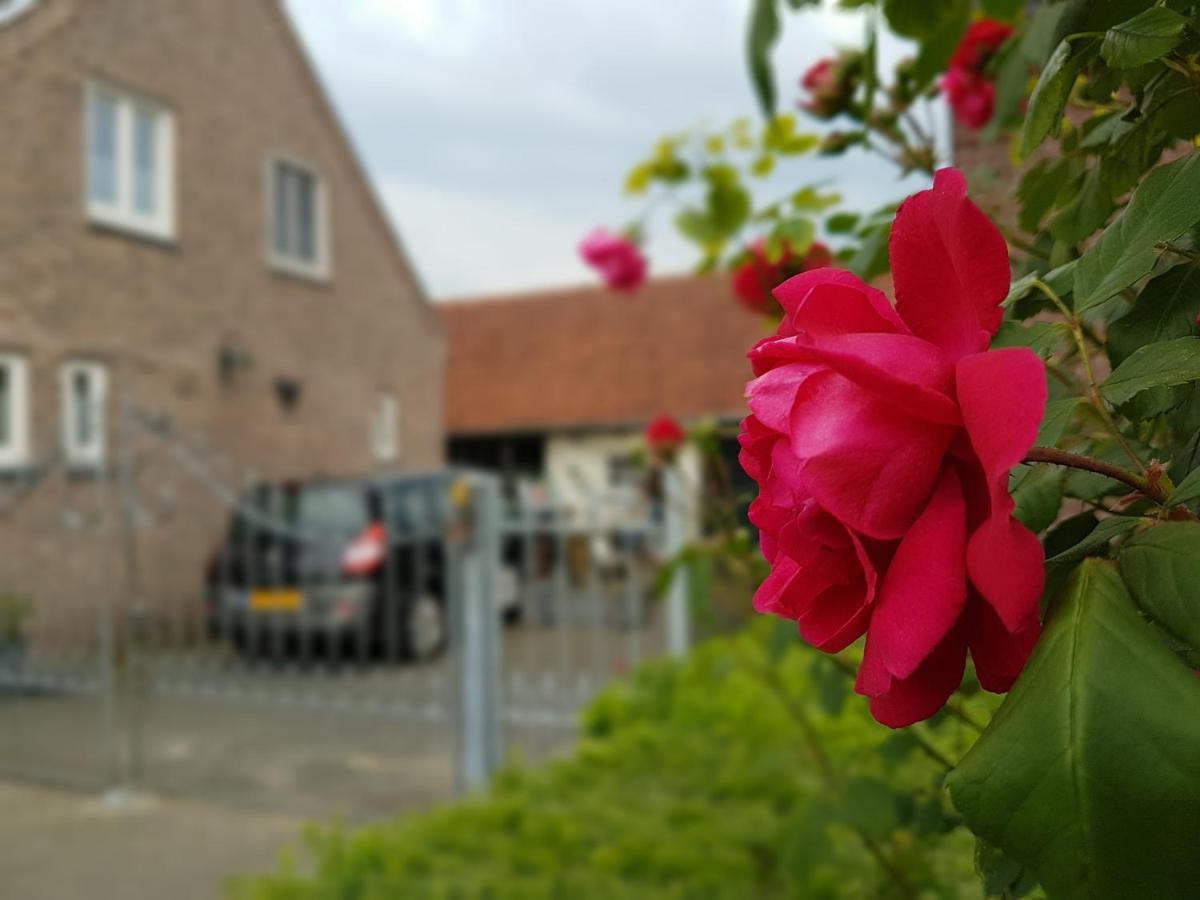 De Boerebeemd Bed and Breakfast Lieshout Buitenkant foto