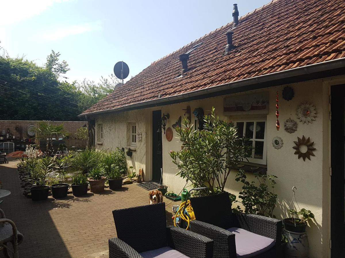 De Boerebeemd Bed and Breakfast Lieshout Buitenkant foto